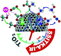 Graphical abstract: On the mechanism of methanol photooxidation to methylformate and carbon dioxide on TiO2: an operando-FTIR study