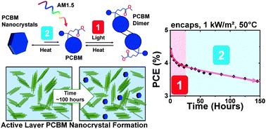 Graphical abstract: The effect of polymer solubilizing side-chains on solar cell stability