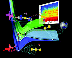 Graphical abstract: Excited state nonadiabatic dynamics of bare and hydrated anionic gold clusters Au3−[H2O]n (n = 0–2)