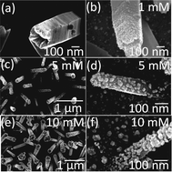 Graphical abstract: Plasmonic gold nanoparticles for ZnO-nanotube photoanodes in dye-sensitized solar cell application
