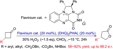 Graphical abstract: Self-assembled ion-pair organocatalysis – asymmetric Baeyer–Villiger oxidation mediated by flavinium–cinchona alkaloid dimer