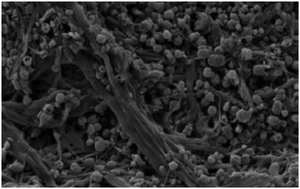 Graphical abstract: Elastic coupling between spin-crossover particles and cellulose fibers