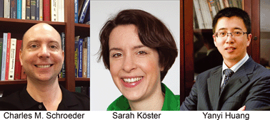 Graphical abstract: Emerging Investigators 2016: discovery science meets technology