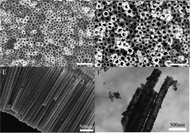 Graphical abstract: Selenium nanoparticles incorporated into titania nanotubes inhibit bacterial growth and macrophage proliferation