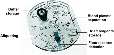 Graphical abstract: A fully integrated microfluidic platform for highly sensitive analysis of immunochemical parameters