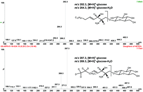 Graphical abstract: A convenient approach to facilitate monitoring Gaucher disease progression and therapeutic response