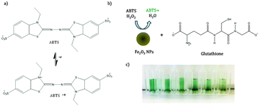Graphical abstract: Resonance Raman detection of antioxidants using an iron oxide nanoparticle catalysed decolourisation assay