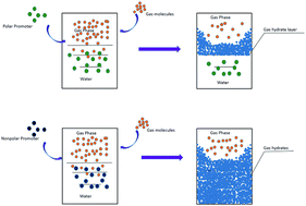 Graphical abstract: The effect of hydrate promoters on gas uptake