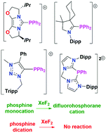 Graphical abstract: Synthesis and oxidation of phosphine cations