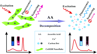 Graphical abstract: Size-dependent modulation of fluorescence and light scattering: a new strategy for development of ratiometric sensing