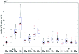 Graphical abstract: Super-resolution localization microscopy of radiation-induced histone H2AX-phosphorylation in relation to H3K9-trimethylation in HeLa cells