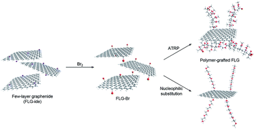 Graphical abstract: Brominated graphene as a versatile precursor for multifunctional grafting