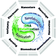 Graphical abstract: DNA metallization: principles, methods, structures, and applications