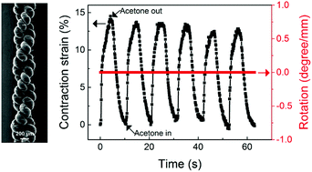 Graphical abstract: Self-plied and twist-stable carbon nanotube yarn artificial muscles driven by organic solvent adsorption
