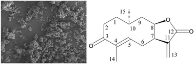 Graphical abstract: Encapsulation of inuloxin A, a plant germacrane sesquiterpene with potential herbicidal activity, in β-cyclodextrins