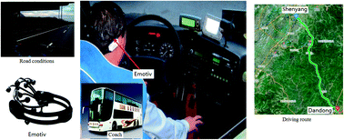 Graphical abstract: EEG characteristic analysis of coach bus drivers based on brain connectivity as revealed via a graph theoretical network