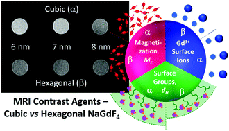 Graphical abstract: Cubic versus hexagonal – effect of host crystallinity on the T1 shortening behaviour of NaGdF4 nanoparticles
