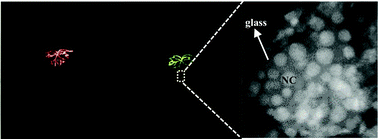 Graphical abstract: CsRe2F7@glass nanocomposites with efficient up-/down-conversion luminescence: from in situ nanocrystallization synthesis to multi-functional applications