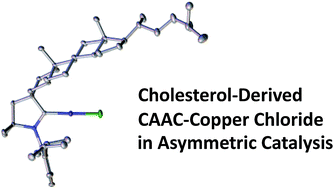 Graphical abstract: The debut of chiral cyclic (alkyl)(amino)carbenes (CAACs) in enantioselective catalysis