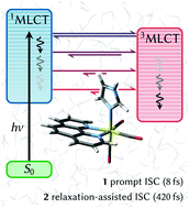 Graphical abstract: Unconventional two-step spin relaxation dynamics of [Re(CO)3(im)(phen)]+ in aqueous solution