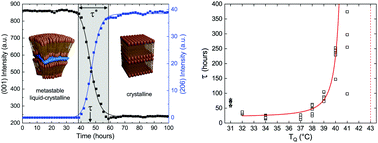 Graphical abstract: Delayed nucleation in lipid particles