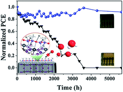 Graphical abstract: Enhanced long-term stability of perovskite solar cells by passivating grain boundary with polydimethylsiloxane (PDMS)