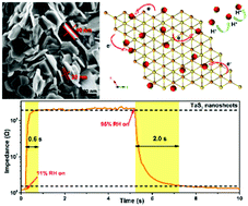 Graphical abstract: TaS2 nanosheet-based ultrafast response and flexible humidity sensor for multifunctional applications