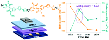 Graphical abstract: Controlling the ambipolarity of thieno-benzo-isoindigo polymer-based transistors: the balance of face-on and edge-on populations