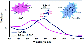 Graphical abstract: Rapid and selective detection of recombinant human erythropoietin in human blood plasma by a sensitive optical sensor