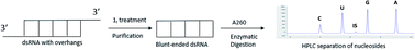 Graphical abstract: Complete enzymatic digestion of double-stranded RNA to nucleosides enables accurate quantification of dsRNA