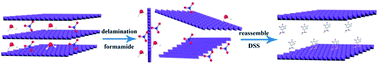 Graphical abstract: Hydrotalcite–PLGA composite nanoparticles for loading and delivery of danshensu