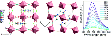Graphical abstract: Novel hypophosphite hybrid perovskites of [CH3NH2NH2][Mn(H2POO)3] and [CH3NH2NH2][Mn(H2POO)2.83(HCOO)0.17] exhibiting antiferromagnetic order and red photoluminescence