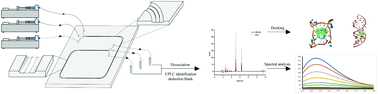 Graphical abstract: Screening of high-efficiency and low-toxicity antitumor active components in Macleaya cordata seeds based on the competitive effect of drugs on double targets by a new laminar flow chip