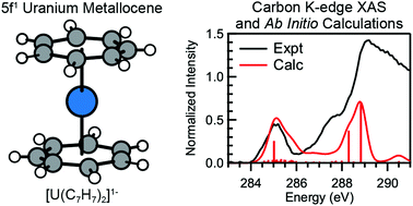 Graphical abstract: Enhanced 5f-δ bonding in [U(C7H7)2]−: C K-edge XAS, magnetism, and ab initio calculations