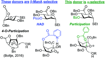 Graphical abstract: A versatile approach to the synthesis of glycans containing mannuronic acid residues
