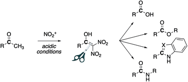 Graphical abstract: Acetyl nitrate mediated conversion of methyl ketones to diverse carboxylic acid derivatives