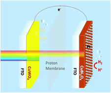 Graphical abstract: A bias-free CuBi2O4–CuWO4 tandem cell for solar-driven water splitting