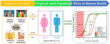Graphical abstract: Probabilistic health risk assessment of zinc oxide nanoparticles from consumer products in adult populations
