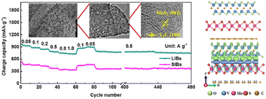 Graphical abstract: MoS2@C with S vacancies vertically anchored on V2C-MXene for efficient lithium and sodium storage