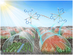 Graphical abstract: Isolation strategy for a novel luminescent Eu3+-pyridine-2,6-dicarboxylic acid complex with high compatibility and stability for light-conversion agricultural films