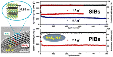 Graphical abstract: Rational design of coral ball-like MoS2/N-doped carbon nanohybrids via atomic interface engineering for effective sodium/potassium storage