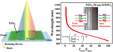 Graphical abstract: A self-driven wideband wavelength sensor based on an individual PdTe2/Thin Si/PdTe2 heterojunction
