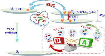 Graphical abstract: Importance of spin-triplet excited-state character in the reverse intersystem crossing process of spiro-based TADF emitters