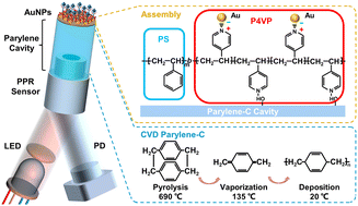 Graphical abstract: A parylene-mediated plasmonic–photonic hybrid fiber-optic sensor and its instrumentation for miniaturized and self-referenced biosensing