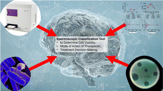 Graphical abstract: Rapid screening of bacteriostatic and bactericidal antimicrobial agents against Escherichia coli by combining machine learning (artificial intelligence) and UV-VIS spectroscopy
