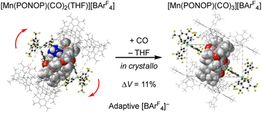 Graphical abstract: In crystallo lattice adaptivity triggered by solid-gas reactions of cationic group 7 pincer complexes