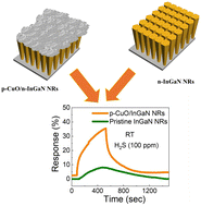 Graphical abstract: CuO nanostructure-decorated InGaN nanorods for selective H2S gas detection