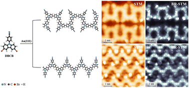 Graphical abstract: On-surface synthesis of two types of cyano-substituted polyfluorene derivatives via Ullmann coupling on Au(111)