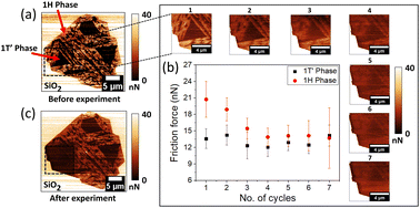 Graphical abstract: Transforming friction: unveiling sliding-induced phase transitions in CVD-grown WS2 monolayers under single-asperity sliding nanocontacts