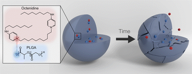 Graphical abstract: Electrostatically hindered diffusion for predictable release of encapsulated cationic antimicrobials
